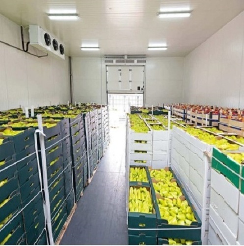 Vegetable Cold Storage