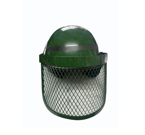 Riot Helmet