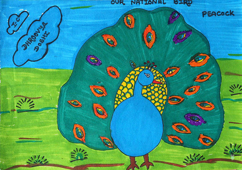 Peacock Hand Painting (Colours Of National Symbols 2017 B 141) - Color: Multiplle
