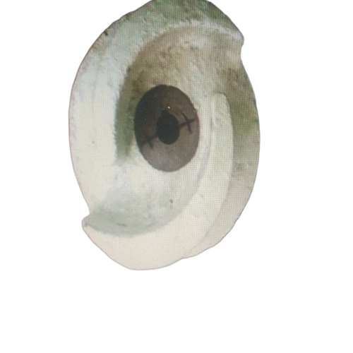 Technical Ceramic Complnts