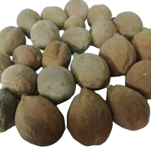 Dry Baheda Fruit