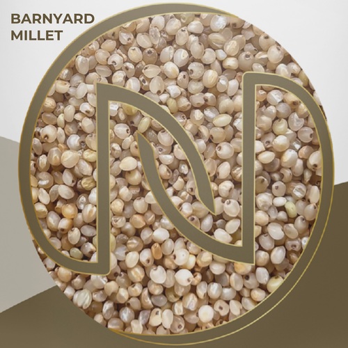Indian Barnyard Millet Grain