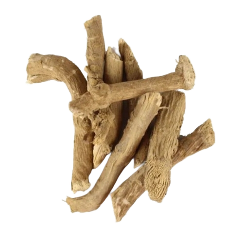 Punarnava Boerhaavia Diffusa Roots