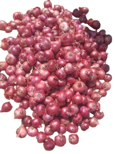 Red Onion