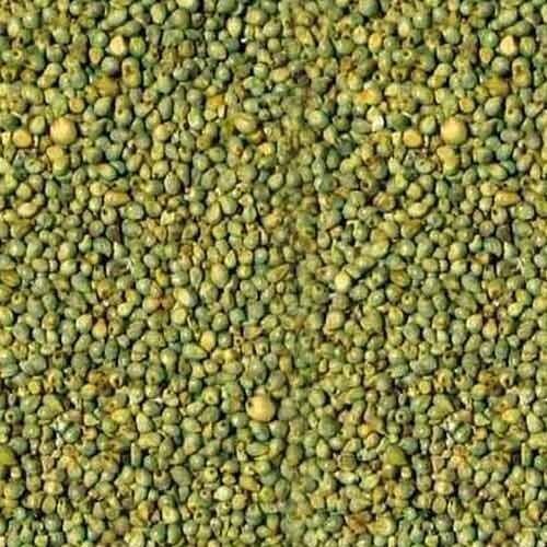 Green Millet Seed