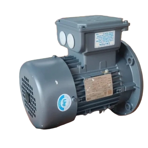 Mounted Induction Motor