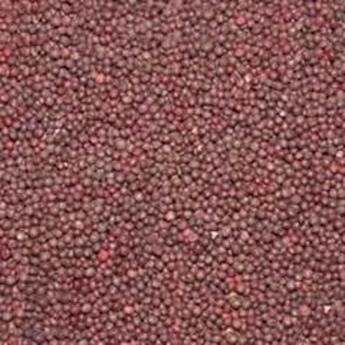 Mustard Seeds