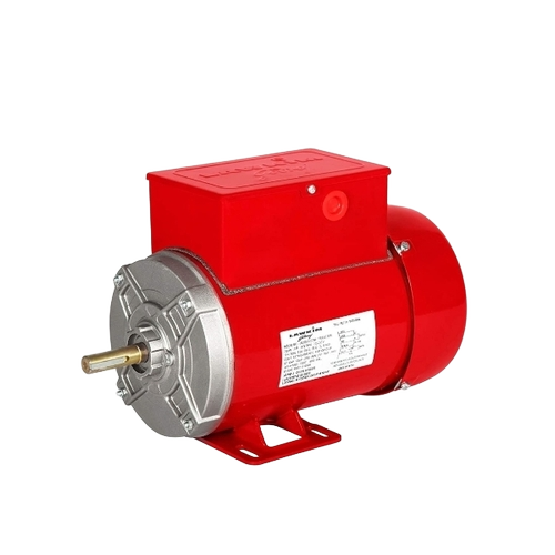 Single Phase Electric Motors