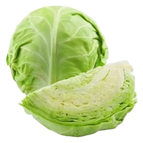 Fresh Cabbage