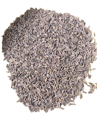 Black Paddy - Medium Grain Black Rice Dried | Long Shelf Life Rich Taste Easy to Digest
