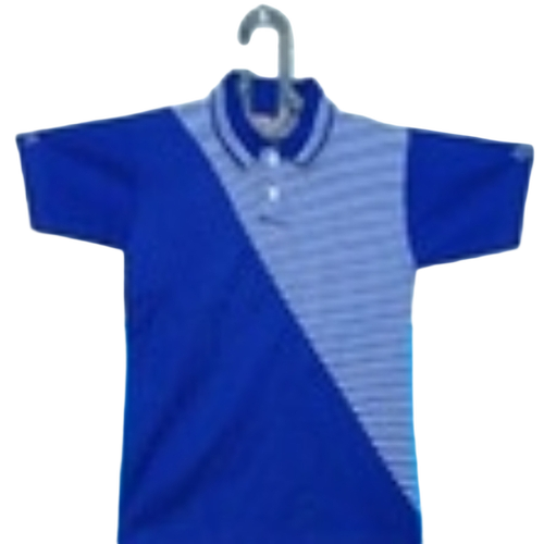 Blue Colour T Shirt 