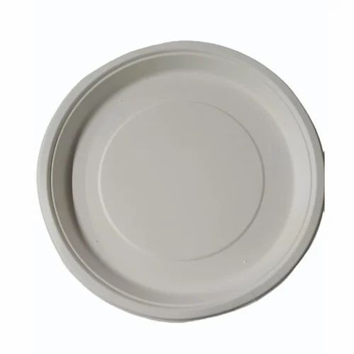 Disposable Plate 