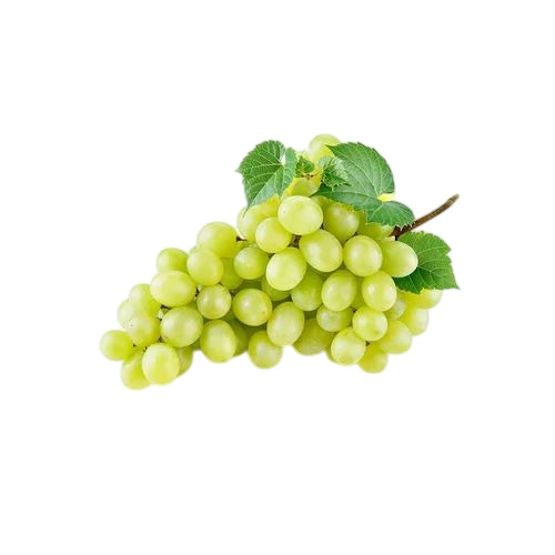 Fresh Green Grapes - Cultivation Type: Common