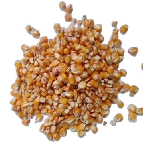 Natural Yellow Maize - Dried Small Yellow | Dietary Fiber, Vitamins, Minerals, Minimal Impurities