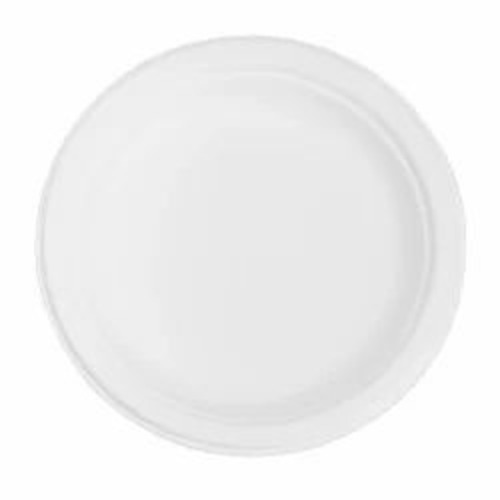 White Disposable Plate