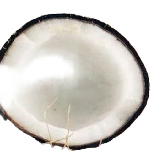 Organic Coconuts By N S P Coconut