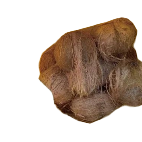 Semi Husked Coconut