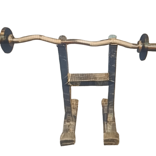 Curl Bar Stand