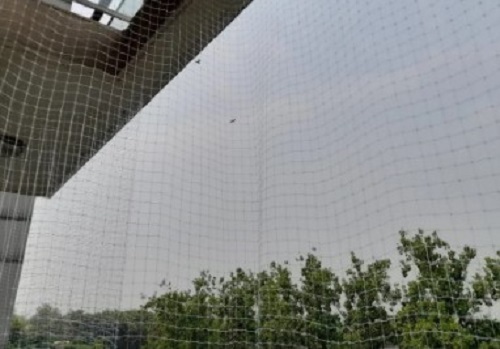 Transparent Bird Net