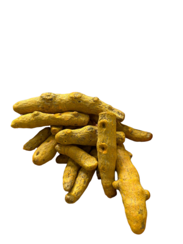 Turmeric Fingers - Color: Bright Yellow