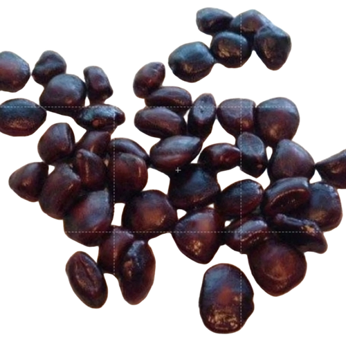 Tamarind Seed