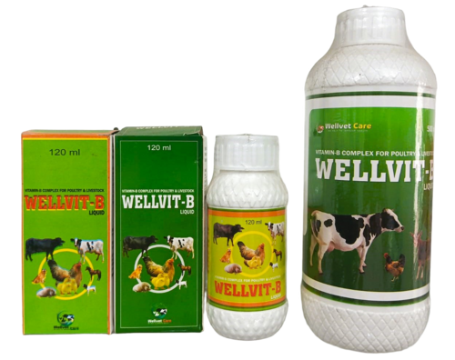 WELLVIT B