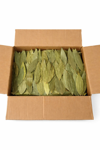 Bay Leaf