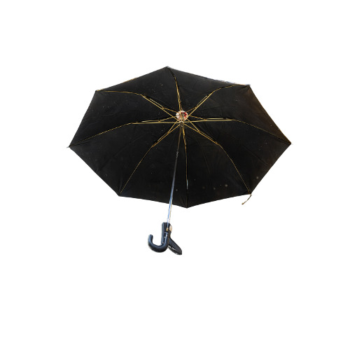 English Jet 2 Fold Umbrella - Color: Gray