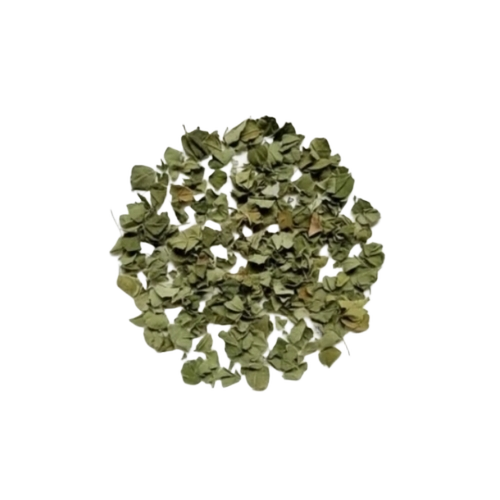 Moringa Dried Leaves - Natural Size, 100% Pure Leaves | Nutrient Rich, Antioxidant, Protein Packed, Organic Vitamins