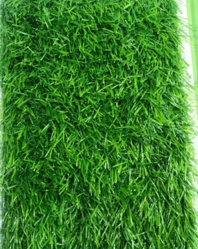 Green Grass Carpet
