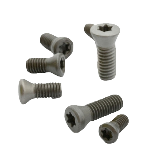 Star Torx Screw