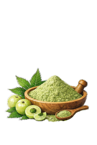 Amla Powder - Purity: 100% Pure