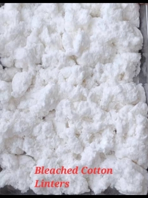Cotton Linters