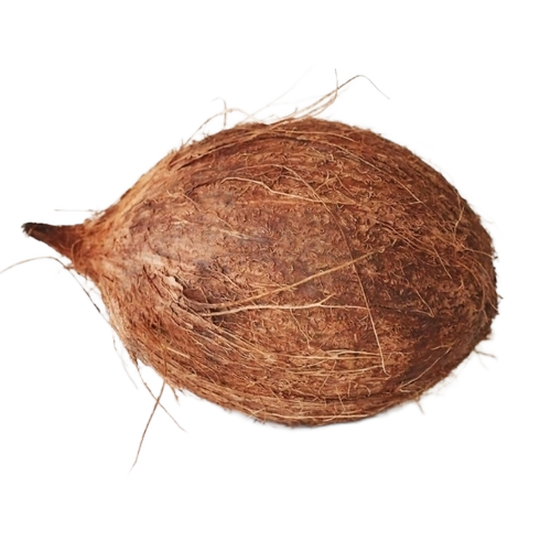 Fresh Coconut 