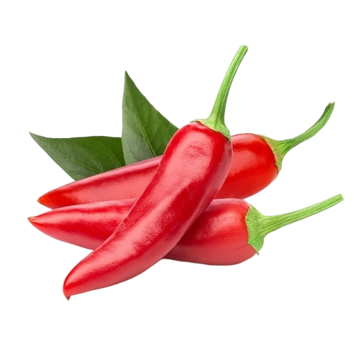 Red Chilli