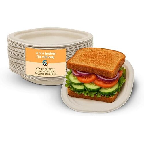 6 Inch Disposable Plates
