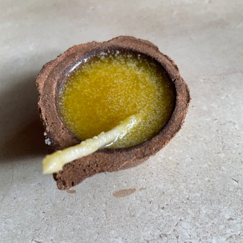 Panchgavya Diya