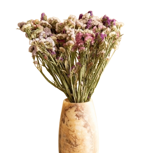Colourful Static Dried Flower