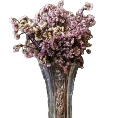 Dried Flower