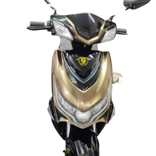 Electric Motor Vehicle