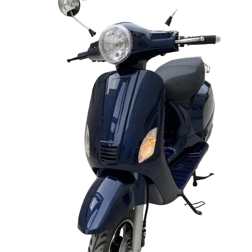 Electric Vehicle