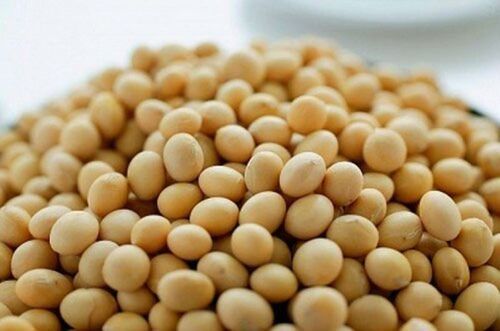 Fresh Produce Soya Bean - Yellow Round, Food Grade | Non GMO, Gluten Free, Smooth Texture, Natural Flavor