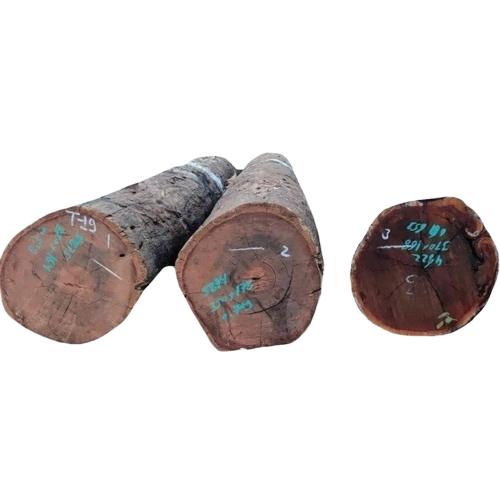 Round 15ft Indian Anjan Wood Log
