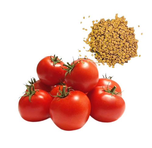 Tomato Seeds