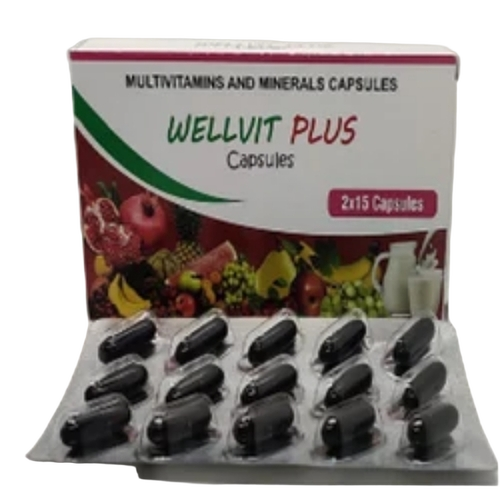 Wellvit Plus Multivitamin Capsules