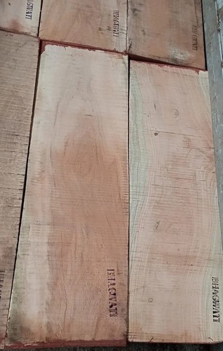 Hard Wood Pallet