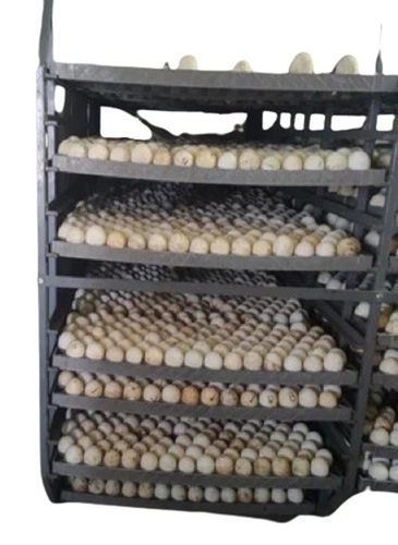 Incubator Setter Cum Catcher