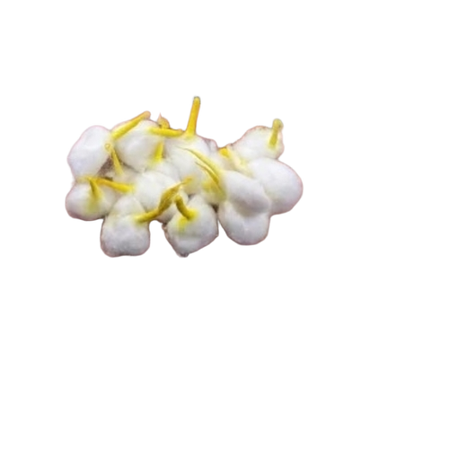 Cotton Wicks