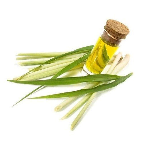 Lemongrass Essential Oil - Purity: 100%