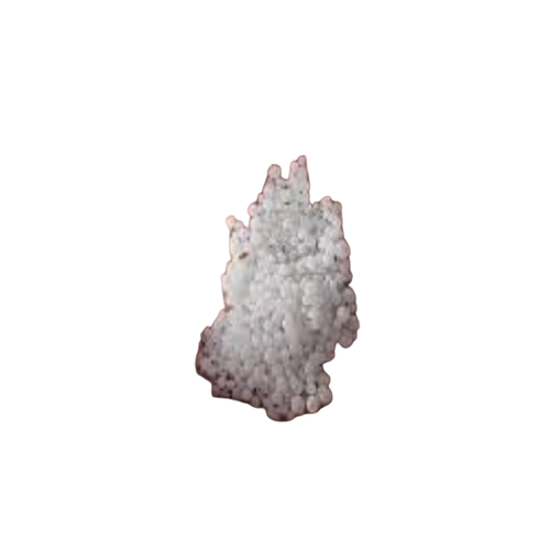 High-Quality Urea Fertilizer (46-0-0) - Application: Agriculture